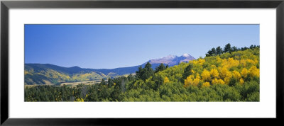 Mt. Lindsay, Huerfano River Basin, Sangre De Cristo Mountains, Aspen, Colorado, Usa by Panoramic Images Pricing Limited Edition Print image