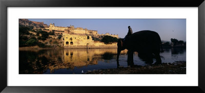 Man Sitting On An Elephant, Amber Fort, Jaipur, Rajasthan, India by Panoramic Images Pricing Limited Edition Print image