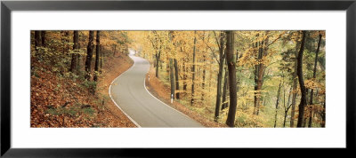 Autumn Trees Along A Road, Germany by Panoramic Images Pricing Limited Edition Print image