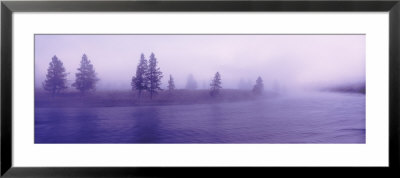 Trees Lining A Misty River, Wyoming, Usa by Panoramic Images Pricing Limited Edition Print image