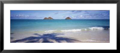 Shadow Of A Tree On The Beach, Lanikai Beach, Oahu, Hawaii, Usa by Panoramic Images Pricing Limited Edition Print image