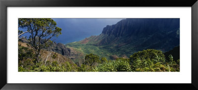 High Angle View Of A Valley, Kauai, Hawaii, Usa by Panoramic Images Pricing Limited Edition Print image