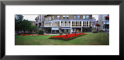 Street Scene With Flowers, Harrogate, Yorkshire County, England, United Kingdom by Panoramic Images Pricing Limited Edition Print image