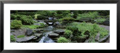 River Flowing Through A Forest, Inniswood Metro Gardens, Columbus, Ohio, Usa by Panoramic Images Pricing Limited Edition Print image