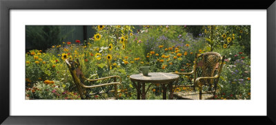 Empty Chairs And A Table In A Garden, Taos, New Mexico, Usa by Panoramic Images Pricing Limited Edition Print image