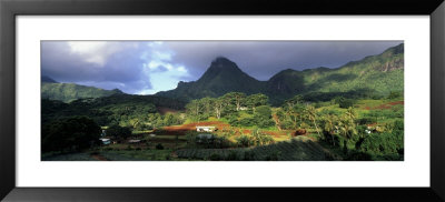 Trees In A Landscape, Moorea, French Polynesia by Panoramic Images Pricing Limited Edition Print image
