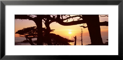 Sunset, Point Lobos State Reserve, California, Usa by Panoramic Images Pricing Limited Edition Print image
