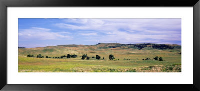Custer State Park, South Dakota, Usa by Panoramic Images Pricing Limited Edition Print image