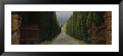 Road, Tuscany, Italy by Panoramic Images Pricing Limited Edition Print image