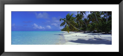 Tetiaroa Atoll, French Polynesia, Tahiti by Panoramic Images Pricing Limited Edition Print image
