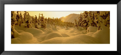 Sunset, Turnagain Pass, Alaska, Usa by Panoramic Images Pricing Limited Edition Print image