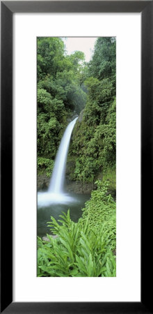 View Of A Waterfall In A Forest, Catarata La Paz Waterfall, Costa Rica by Panoramic Images Pricing Limited Edition Print image