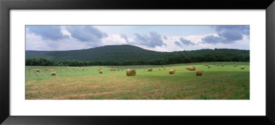 Hay Bales In The Farmland, Warren County, Tennessee, Usa by Panoramic Images Pricing Limited Edition Print image