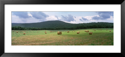 Hay Bales In The Farmland, Warren County, Tennessee, Usa by Panoramic Images Pricing Limited Edition Print image