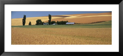 Farm, Saint John, Washington State, Usa by Panoramic Images Pricing Limited Edition Print image