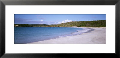 Red Beach On Caribbean Sea, Isle Of Vieques, Puerto Rico by Panoramic Images Pricing Limited Edition Print image