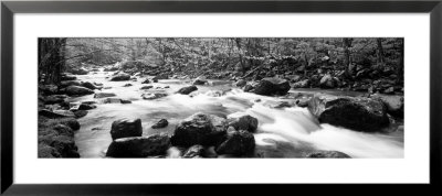 Little Pigeon River Great Smoky Mountains National Park Tennessee, Usa by Panoramic Images Pricing Limited Edition Print image