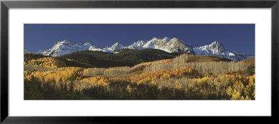 Autumnal View Of Aspen Trees And The Rocky Mountains, San Juan National Park, Colorado, Usa by Panoramic Images Pricing Limited Edition Print image