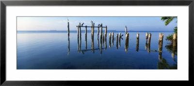 Birds On Pier, Everglades National Park, Florida, Usa by Panoramic Images Pricing Limited Edition Print image