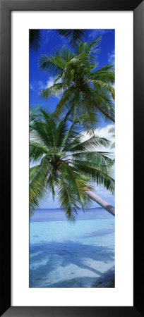 Maldives by Panoramic Images Pricing Limited Edition Print image