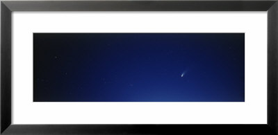 Comet, Hale Bopp by Panoramic Images Pricing Limited Edition Print image