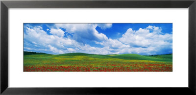 Open Field, Hill, Clouds, Blue Sky, Tuscany, Italy by Panoramic Images Pricing Limited Edition Print image