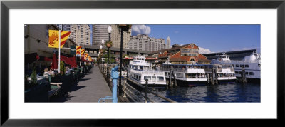 Yachts Docked At A Harbor, Seattle, Washington State, Usa by Panoramic Images Pricing Limited Edition Print image