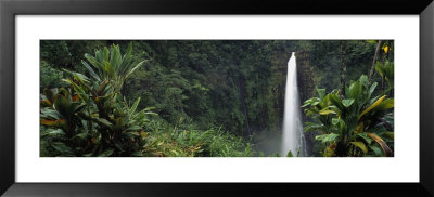 Akaka Falls State Park, Hawaii, Usa by Panoramic Images Pricing Limited Edition Print image