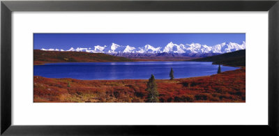 Wonder Lake In Autumn, Alaska, Usa by Panoramic Images Pricing Limited Edition Print image