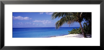 7 Mile Beach, West Bay, Caribbean Sea, Cayman Islands by Panoramic Images Pricing Limited Edition Print image