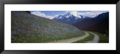 Road Through Hillside, Zillertaler, Austria by Panoramic Images Pricing Limited Edition Print image