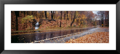 Euclid Creek, Parkway, Ohio, Usa by Panoramic Images Pricing Limited Edition Print image