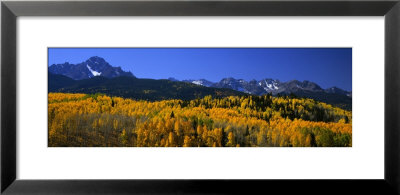 San Juan Mountains, Colorado, Usa by Panoramic Images Pricing Limited Edition Print image