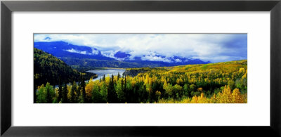 Panoramic View Of A Landscape, Yukon River, Alaska, Usa by Panoramic Images Pricing Limited Edition Print image