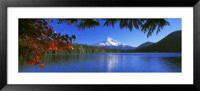 Lost Lake, Mt. Hood National Forest, Oregon, Usa by Panoramic Images Pricing Limited Edition Print image