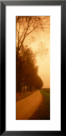 Road, Yellow, Netherlands by Panoramic Images Pricing Limited Edition Print image