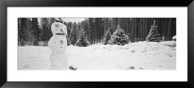 Snowman In A Forest, Winter Park, Colorado, Usa by Panoramic Images Pricing Limited Edition Print image