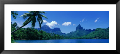 Lush Foliage And Rock Formations, Moorea Island, Tahiti by Panoramic Images Pricing Limited Edition Print image