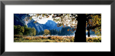 Half Dome, Yosemite National Park, California, Usa by Panoramic Images Pricing Limited Edition Print image