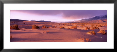 Olancha Sand Dunes, Olancha, California, Usa by Panoramic Images Pricing Limited Edition Print image