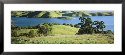 Trees By A River, San Luis Reservoir, Dinosaur Point Area, Merced County, California, Usa by Panoramic Images Pricing Limited Edition Print image
