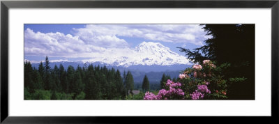 Mount Rainier And Spring Rhododendrons, Graham, Washington State, Usa by Panoramic Images Pricing Limited Edition Print image
