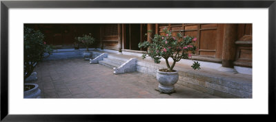 Potted Plant In A Courtyard, Temple Of Literature, Hanoi, Vietnam by Panoramic Images Pricing Limited Edition Print image