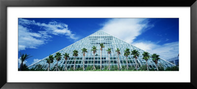 Pyramid, Moody Gardens, Galveston, Texas, Usa by Panoramic Images Pricing Limited Edition Print image