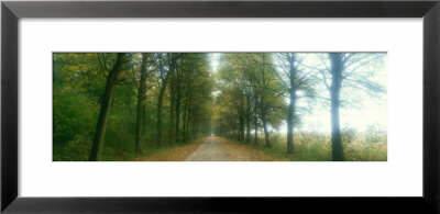 Road With Fog, France by Panoramic Images Pricing Limited Edition Print image