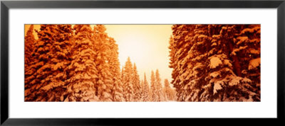Steamboat Springs, Colorado, Usa by Panoramic Images Pricing Limited Edition Print image
