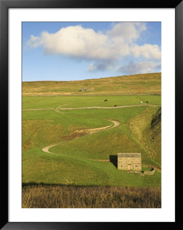 Stone Barn And Winding Track Near Keld, Yorkshire Dales National Park, Yorkshire, England by Neale Clarke Pricing Limited Edition Print image