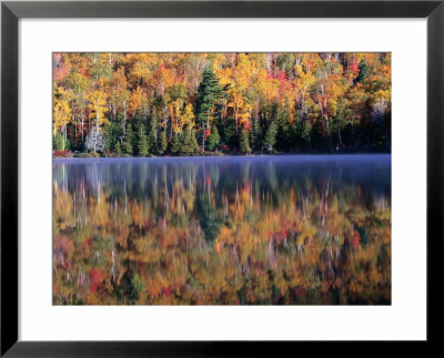 Trees At Autumn, Reflected In Heart Lake, Adirondak Mountains, New York, Usa by Rob Blakers Pricing Limited Edition Print image