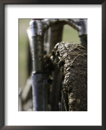 A Muddy Mountain Bike Tire, Mt. Bike by David D'angelo Pricing Limited Edition Print image