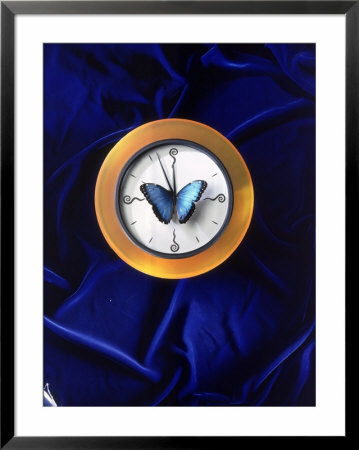 Butterfly On Top Of Clock by Michelle Joyce Pricing Limited Edition Print image